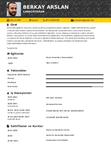 cv indir